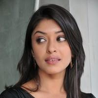 Payal Ghosh New Hot and Spicy Gallery | Picture 90633
